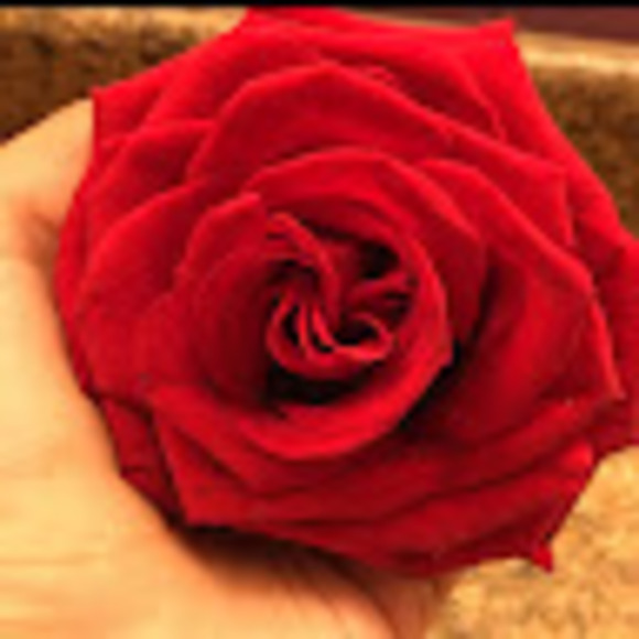 carla_20414